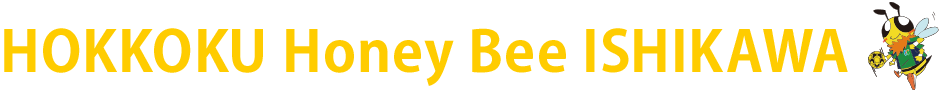 北國銀行 ハンドボール部 Honey Bee